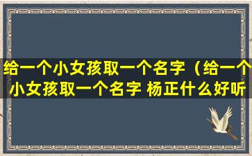 给一个小女孩取一个名字（给一个小女孩取一个名字 杨正什么好听）